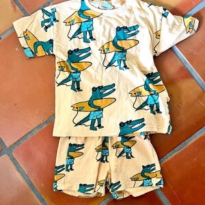Zara matching surfing alligator set